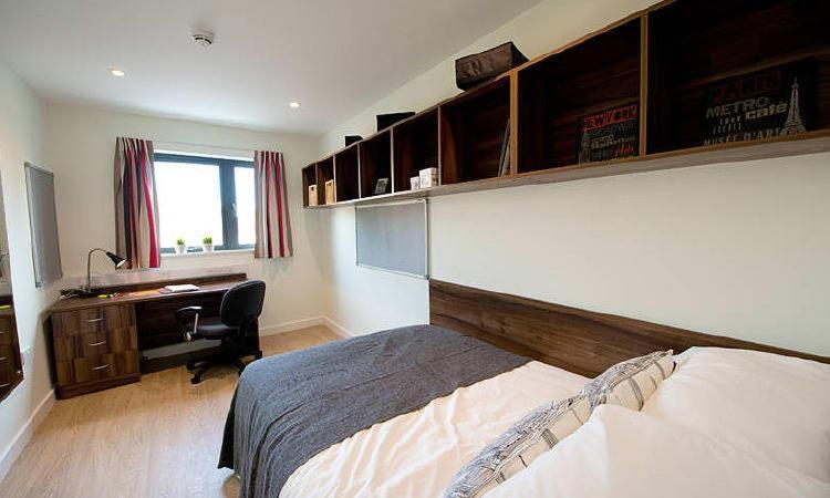 Zeni 3 Bed Apartment In Central Exeter Esterno foto